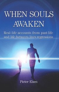 bokomslag When Souls Awaken: Real-Life Accounts of Past-Life and Life-Between-Lives Regressions