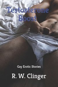 bokomslag Testosterone Boost: Gay Erotic Stories