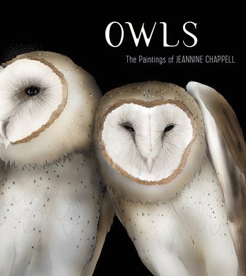bokomslag Owls: The Paintings of Jeannine Chappell
