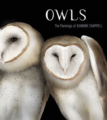 bokomslag OWLS THE PAINTINGS OF JEANNINE CHAPPELL