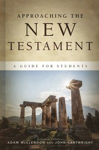 bokomslag Approaching the New Testament