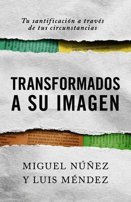 Miguel Nunez, Luis Méndez - Consejería bíblica (Transformed Into His Image), Häftad