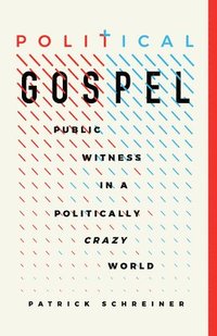 bokomslag Political Gospel