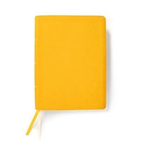bokomslag CSB Lifeway Women's Bible, Marigold LeatherTouch