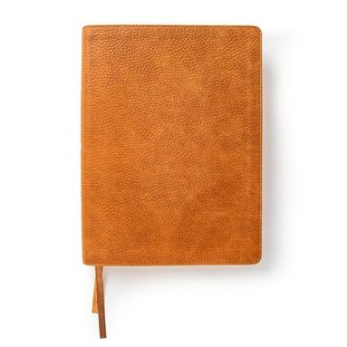 bokomslag CSB Lifeway Women's Bible, Butterscotch Genuine Leather, Ind