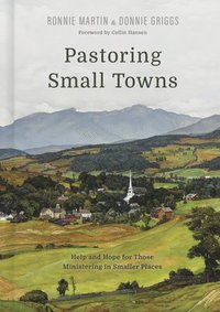 bokomslag Pastoring Small Towns