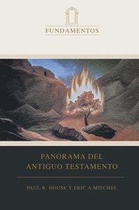 bokomslag Académico 1: Panorama Del Antiguo Testamento