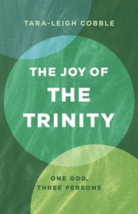 bokomslag Joy of the Trinity, The
