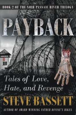 bokomslag Payback - Tales of Love, Hate and Revenge