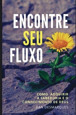 Encontre Seu fluxo 1