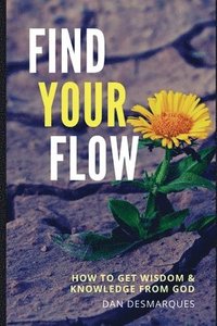 bokomslag Find Your Flow