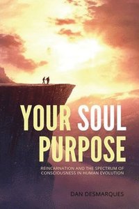 bokomslag Your Soul Purpose