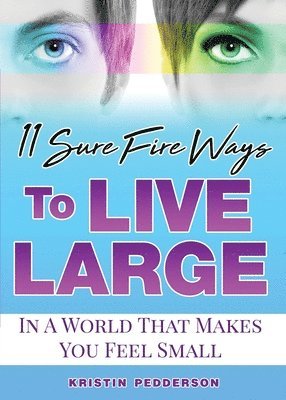 bokomslag 11 Sure Fire Ways To Live Large