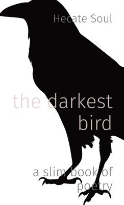 The darkest bird 1