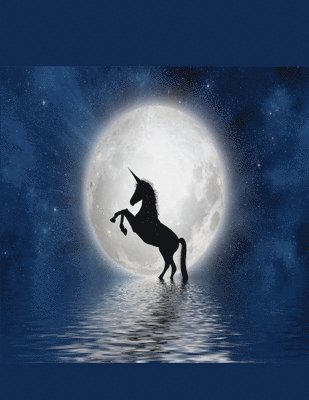 bokomslag Reindeer Notebook