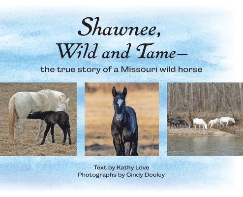 Shawnee, Wild and Tame: The True Story of a Missouri Wild Horse 1