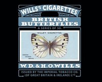bokomslag 50 British Butterflies