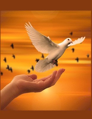 bokomslag Dove Christian Inspirational Notebook