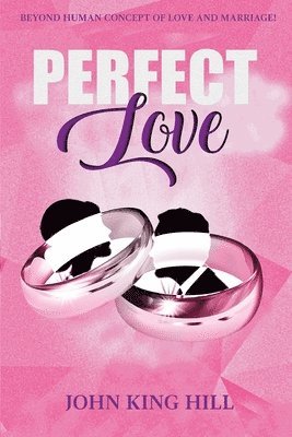 bokomslag Perfect Love