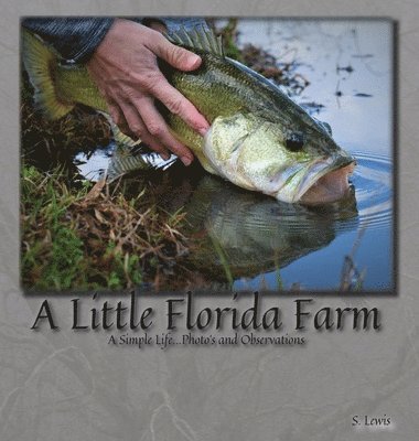 bokomslag Little Florida Farm