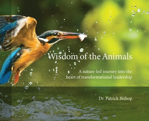 Wisdom of the Animals 1