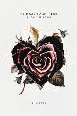 Alexis M. Romo, Alexis M Romo - The Maze To My Heart: Poetry & Prose Chapbook, Häftad