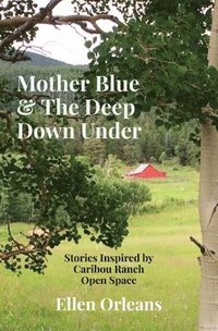 bokomslag Mother Blue & The Deep Down Under