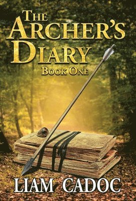 bokomslag Archer's Diary