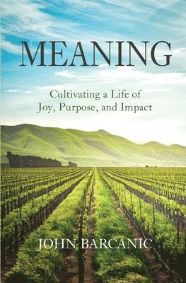 Meaning: Cultivating a Life of Joy, Purpose, and Impact 1