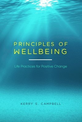 bokomslag Principles of Wellbeing