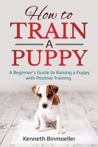 bokomslag How to Train a Puppy