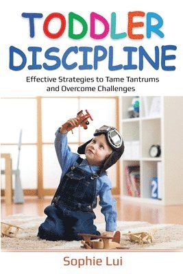 Toddler Discipline 1