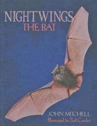 bokomslag Nightwings The Bat