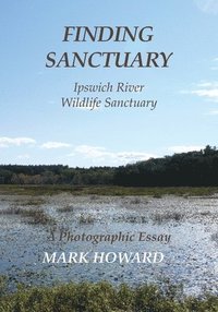 bokomslag Finding Sanctuary