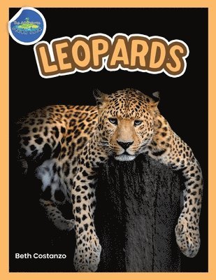 The Amazing World of Leopards Booklet with Activities ages 4-8 1