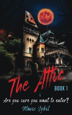 Attic 1