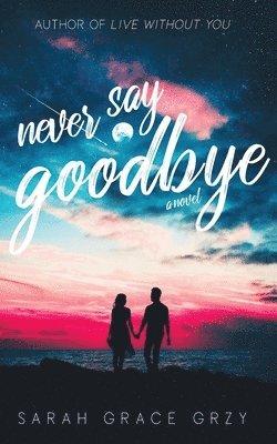 bokomslag Never Say Goodbye