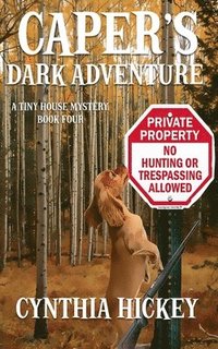 bokomslag Caper's Dark Adventure