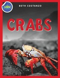 bokomslag Crab Activity Workbook for Kids ages 4-8