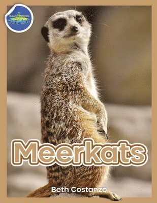 Beth Costanzo, Beth COSTANZO - Meerkat Activity Workbook for Kids ages 4-8, Häftad