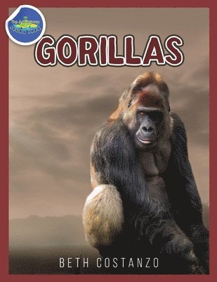Beth Costanzo, Beth COSTANZO - Gorilla Activity Workbook ages 4-8, Häftad