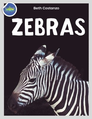 Beth Costanzo, Beth COSTANZO - Zebra Activity Workbook ages 4-8, Häftad