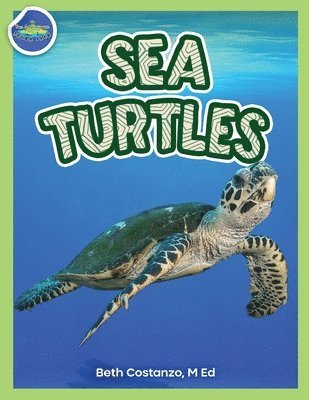 Beth Costanzo - Sea Turtles Activity Workbook ages 4-8, Häftad