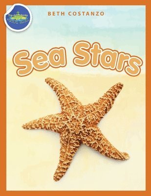 Beth Costanzo, Beth COSTANZO - Sea Stars Activity Workbook ages 4-8, Häftad