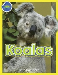bokomslag Koala Activity Workbook ages 4-8