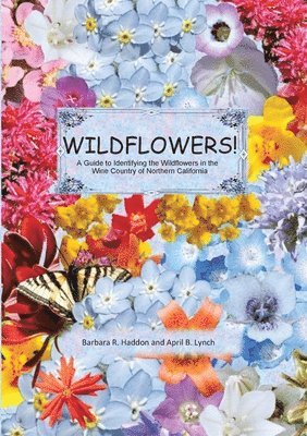 WILDFLOWERS! A Guide to Identifying the Wildflowers of Northern California's Wine Country 1