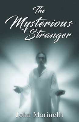 bokomslag Mysterious Stranger