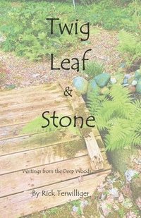 bokomslag Twig Leaf & Stone