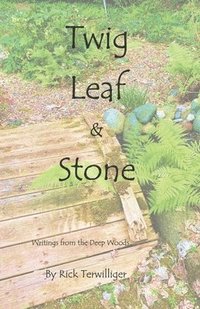 bokomslag Twig Leaf & Stone: Writings from the Deep Woods