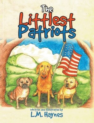 L M Haynes, L. M. Haynes, L.M. Haynes - Littlest Patriots, Inbunden